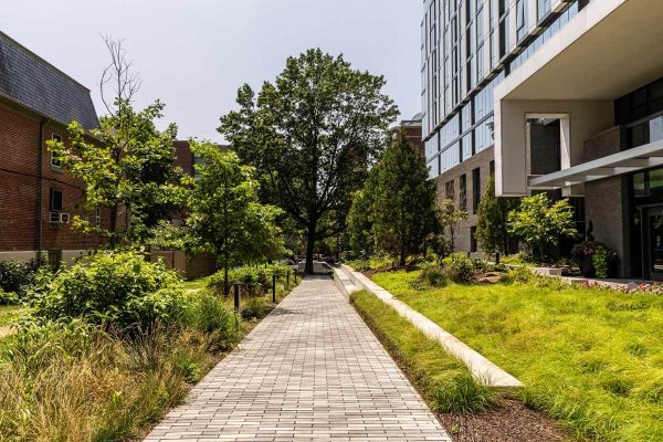 grenn-pro-peyzaj-017